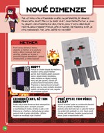 A101M0F0009878_minecraft-zaciname-hrat-l