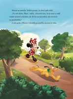 A102M1F0000572_disney-mickeyho-nove-5-mi