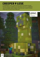 a102M1F0000731_minecraft-stavebni-jednoh