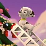 A102M1F0000756_labkova-patrola-moj-adven