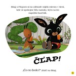 a102M1F0002424_bing-styri-ročne-obdobia-