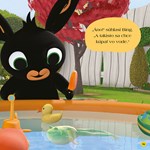 a102M1F0002424_bing-styri-ročne-obdobia-