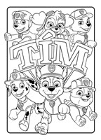 A102M1F0004191_tlapkova-patrola-omalovan