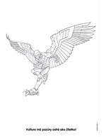 a102M1F0004667_spider-man-malovanky-s-vo