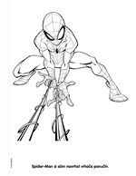 a102M1F0004667_spider-man-malovanky-s-vo