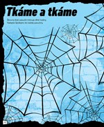 A102M1F0004778_marvel-spider-man-1001-sa