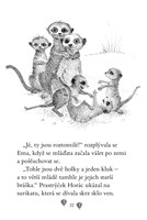 A101F0F0004019_ema-ajkz-9-neposedna-suri