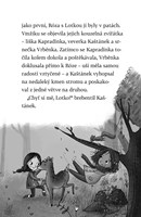 A101A0F0009550_osudovi-kamaradi-blok-lis