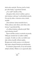 A101F0F0012277_spssk-2-vysneny-pejsek-li