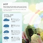 A101U0F0011007_zvidavy-dracek-a-pocasi-l