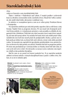 A102M1F0000397_kone-pribehy-z-celeho-sve