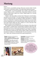 A102M1F0000397_kone-pribehy-z-celeho-sve