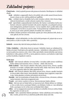 A102M1F0000397_kone-pribehy-z-celeho-sve