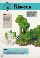 a102M1F0005268_minecraft-prorucka-prezit