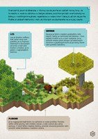 a102M1F0005268_minecraft-prorucka-prezit