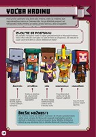 A102M1F0007170_minecraft-legends-priruck