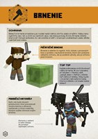 A102M1F0007976_minecraft-pruzkumnicka-pr