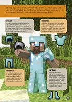 A102M1F0007976_minecraft-pruzkumnicka-pr