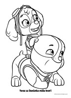 a102M1F23710_labkova-patrola-darcekovy-b