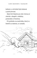 a101a0f0011392_ledni-medvidek-v-nesnazic