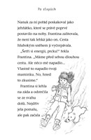 a101a0f0011392_ledni-medvidek-v-nesnazic