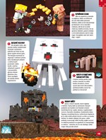 A102M1F0011876_minecraft-knizka-na-cely-