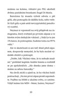 a101f0f0011130_hvezdy-fotbaloveho-hriste