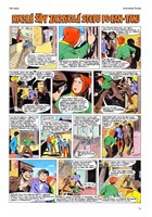 a10110f0001378_rychle_sipy_jaroslava_fog