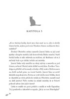 a10110f0002646_kocici-valecnici-zapad-sl