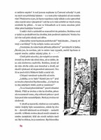 a10110f0002852_stinadla-se-bouri-list-3.