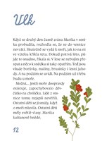 A10110F0003022_Devcatko-a-velky-cerny-pe