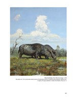 a10110f0003159_praveky-svet-zdenka-buria