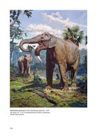 a10110f0003159_praveky-svet-zdenka-buria