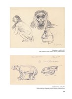 a10110f0003159_praveky-svet-zdenka-buria