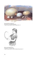 a10110f0003159_praveky-svet-zdenka-buria