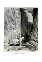 a10110f0003333_syn-lovce-medvedu-list-4.