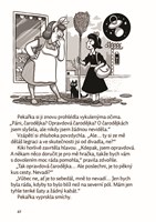 A10110F0005481_dorucovaci-sluzba-carodej