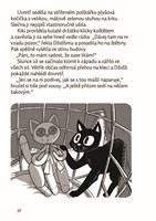 A10110F0005481_dorucovaci-sluzba-carodej