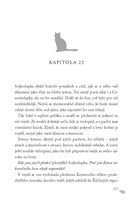 a10110F0008235_kocici-valecnici-sila-tri