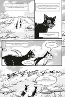 a10110F0009510_kocici-havranova-cesta-02