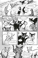 a10110F0009510_kocici-havranova-cesta-02