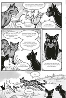 a10110F0009510_kocici-havranova-cesta-02