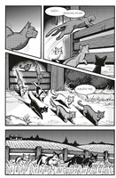 a10110F0009512_kocici-valecnici-havranov