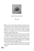 a10110f22435_volani-divociny-ohen-na-neb