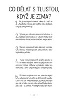 A10160F0008120_Denik-tlusty-kocicandy-li