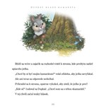 A102M1F0012416_disney-zvieratkova-zbierk