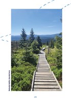 A101B0N0007832_terapie-stezkou-ceskem-li