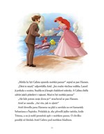 A101M0F0011639_ariel-5minutove-pohadky-c