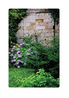 A10150F0010110_svatojansky-denik-list4.j