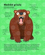 a10110f0010523_nejdesnejsi-zvirata-na-sv